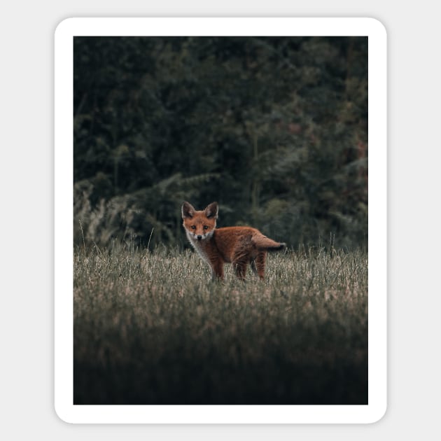 Red fox Sticker by withluke